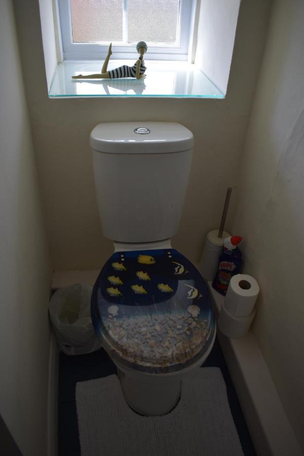 Apartament Froglets Tregoney Zewnętrze zdjęcie